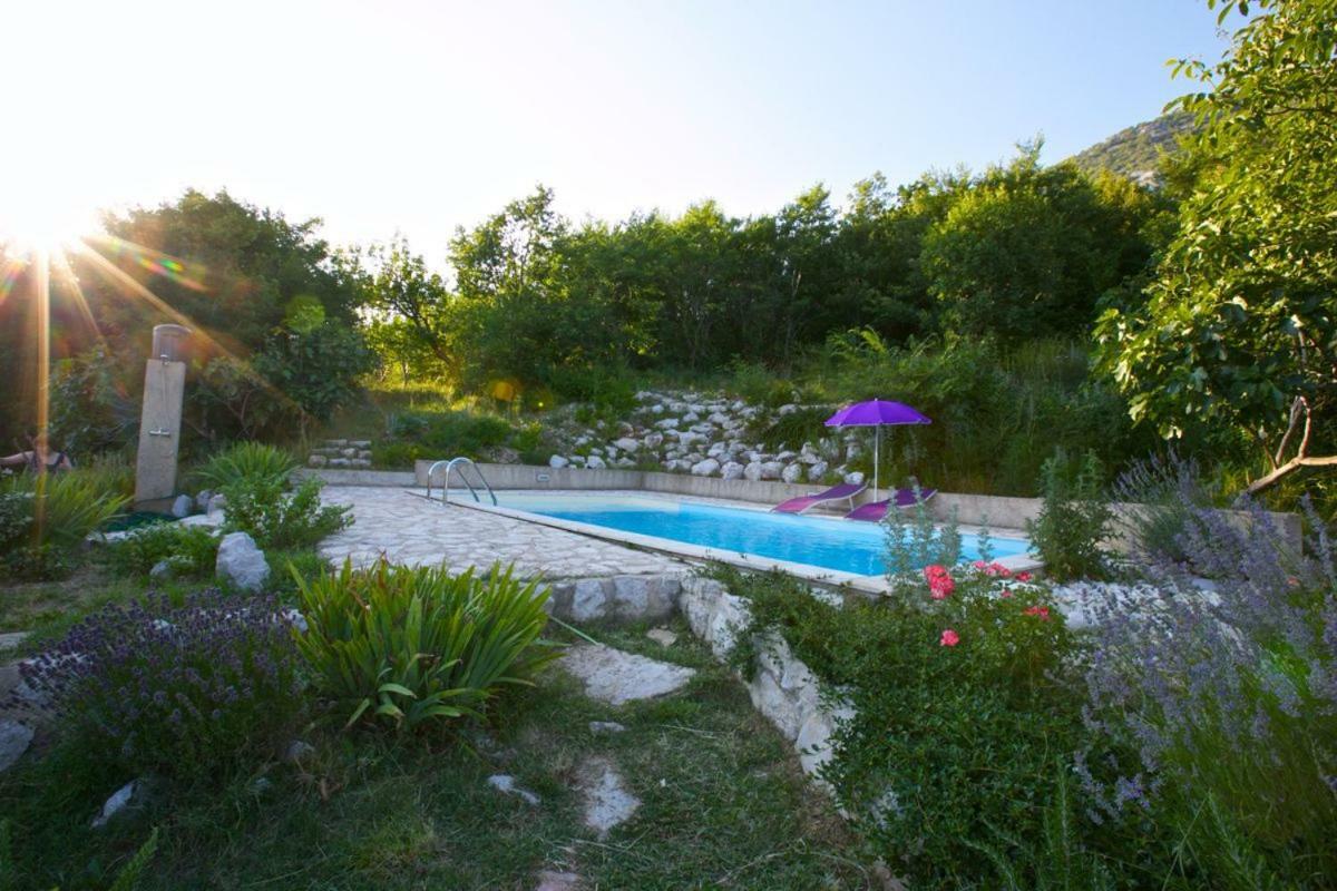 Abeona Mediterranean Villa Drivenik Zewnętrze zdjęcie